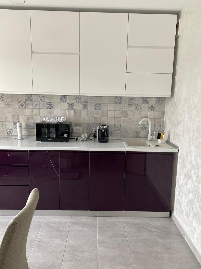 Dina Lux Iasi Apartment 외부 사진