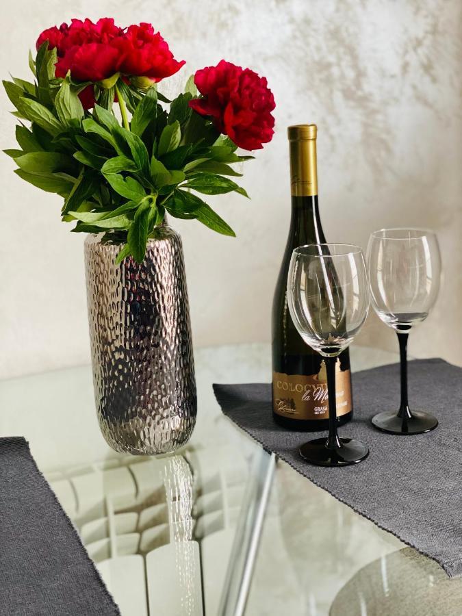 Dina Lux Iasi Apartment 외부 사진
