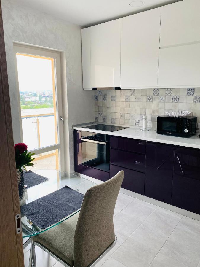 Dina Lux Iasi Apartment 외부 사진