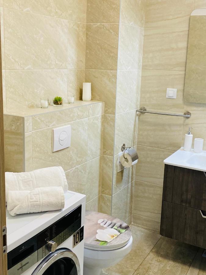 Dina Lux Iasi Apartment 외부 사진